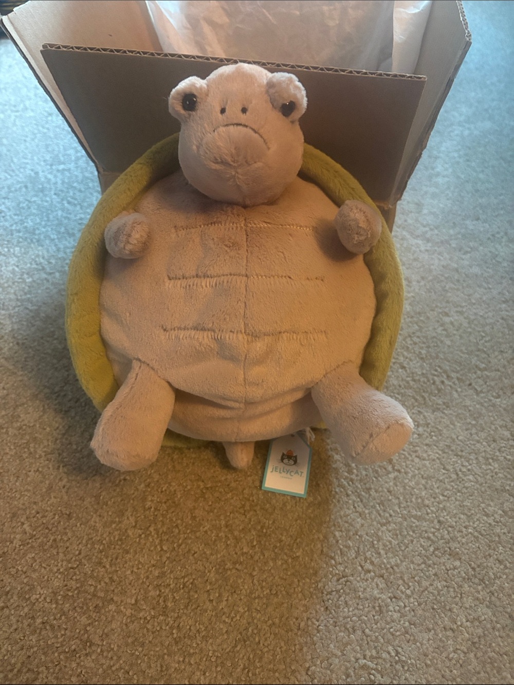 Jellycat Timmy the Turtle
